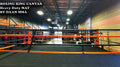  Boxing Ring Professional Boxing Ring Canvas Mat UFC TNA MMA Cage Canvas Mat Cover for Boxing and Wrestling